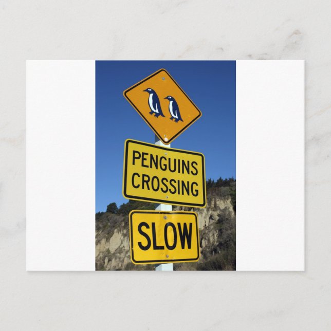 Carte Postale Pingouins traversant le panneau jaune (Devant)