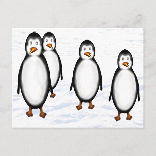 Carte Postale Pinguine (Devant)