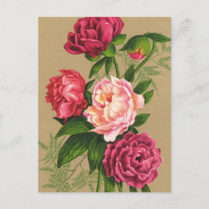 Carte Postale Pink And Red Roses Painting