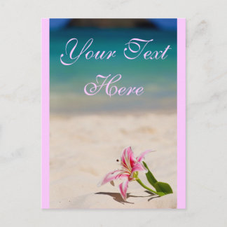 Carte postale Pink Beach Lily