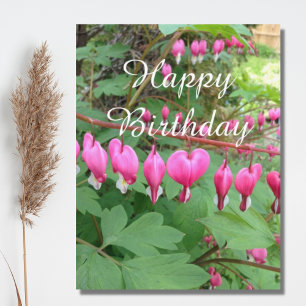 Carte Postale Pink Bleeding Heart Photo Anniversaire