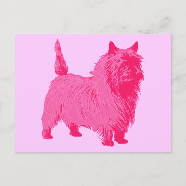 Carte Postale Pink Cairn Terrier (Devant)