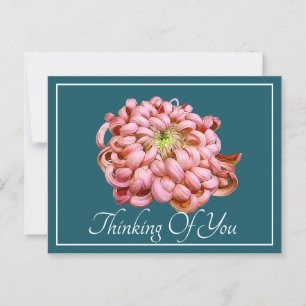 Carte Postale Pink Chrysanthemum Cyan Arrière - plan Penser À Vo