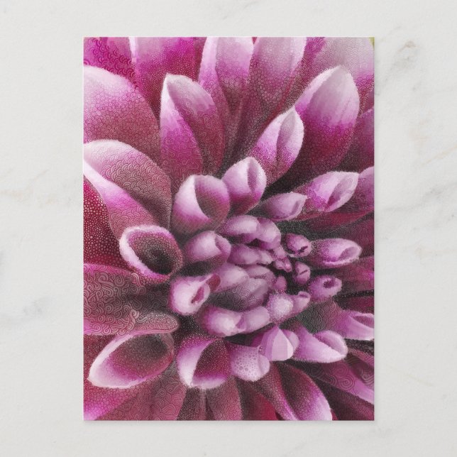 Carte Postale Pink Dahlia (Devant)