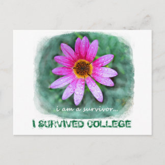 Carte Postale Pink Daisy Je suis un survivant