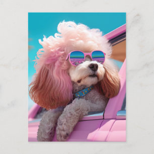 Carte postale Pink Dog Ride a long