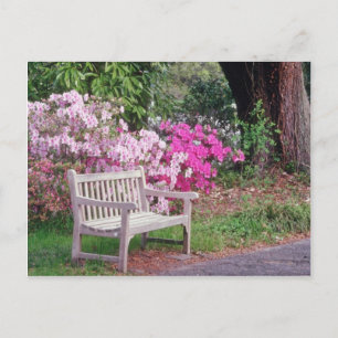 Carte Postale Pink Les fleurs du banc du jardin