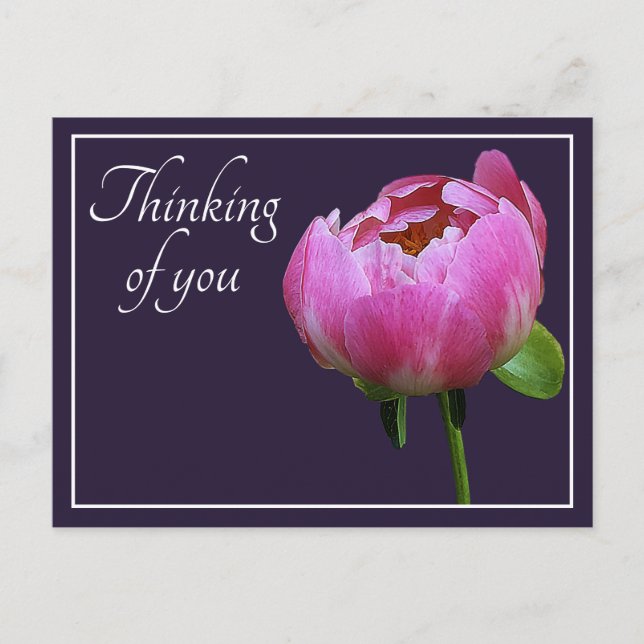 Carte Postale Pink Peony Marine Couleur Arrière - plan Penser À  (Devant)