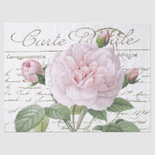 Carte Postale Pink Redouté Rose Gold French Script Tissue Paper