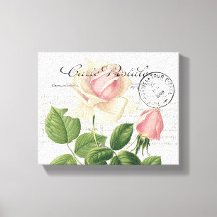Carte Postale Pink Rose French Script Vintage Canvas Print