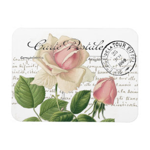 Carte Postale Pink Rose French Script Vintage Magnet