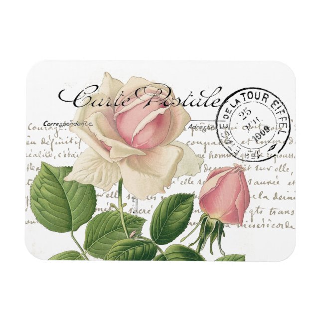 Carte Postale Pink Rose French Script Vintage Magnet (Horizontal)