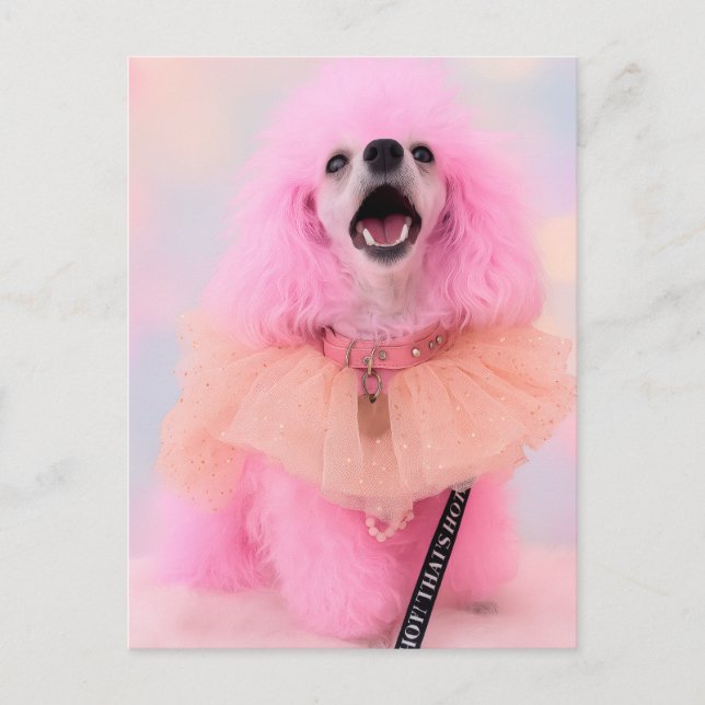 Carte Postale Pink Toy Poodle, Mozzarella The Poodle, Postcard (Devant)