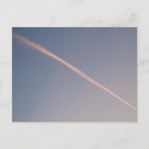 Carte postale Pink Trail