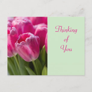 Carte Postale Pink Tulip Portrait Penser à vous