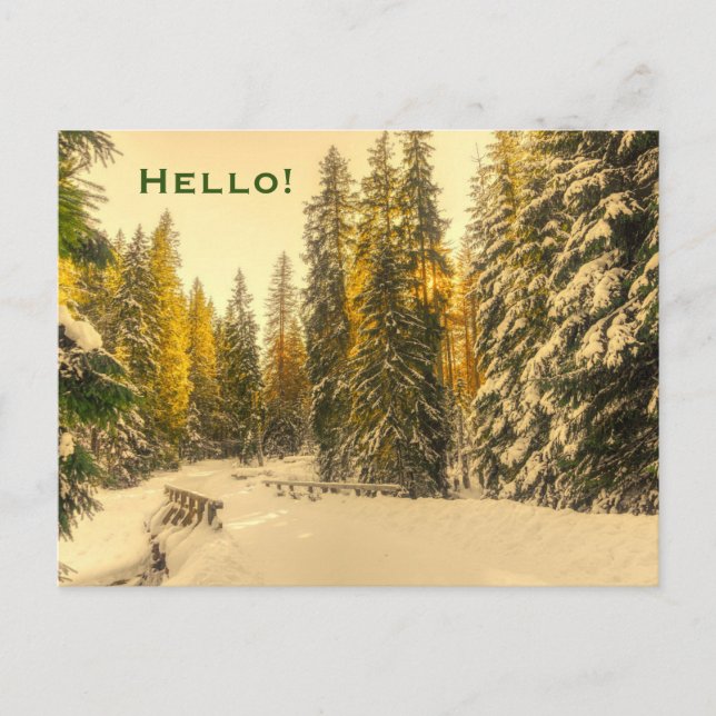 Carte Postale Pins couverts de neige Forêt Nature Photo Bonjour (Devant)