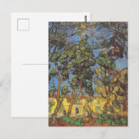 Pins de Van Gogh - Art de jardin classique