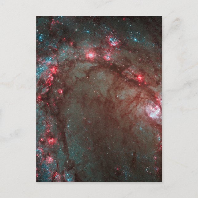 Carte Postale Pinwheel Sud (Devant)