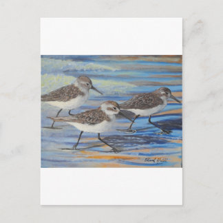 Carte Postale Pipe de sable