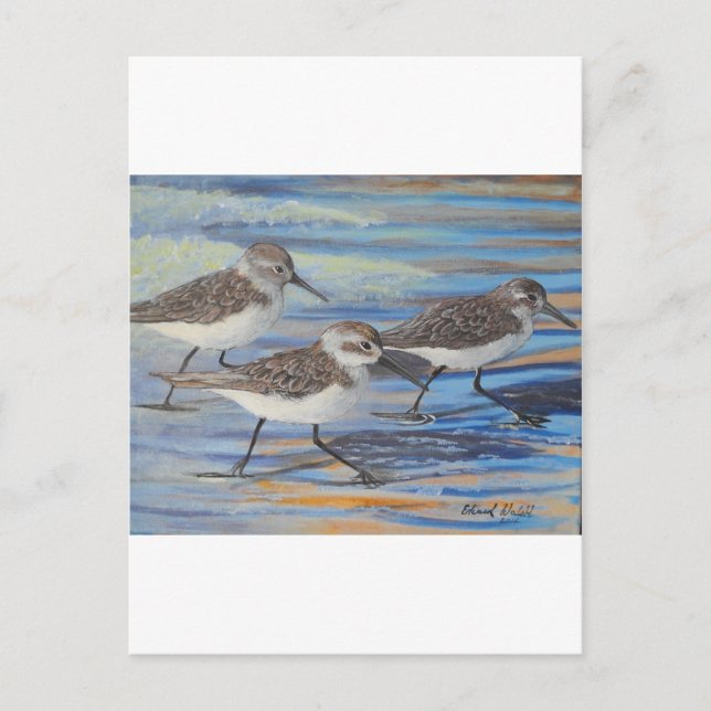 Carte Postale Pipe de sable (Devant)