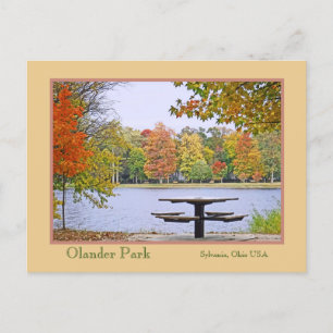 Carte Postale Pique-Nique Au Bord Du Lac, Entouré De Couleur D'A