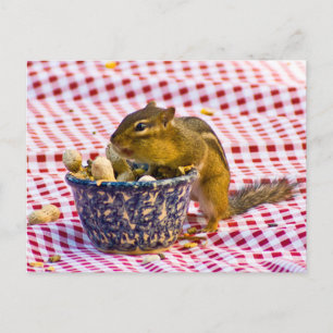 Carte Postale Pique-nique Chipmunk