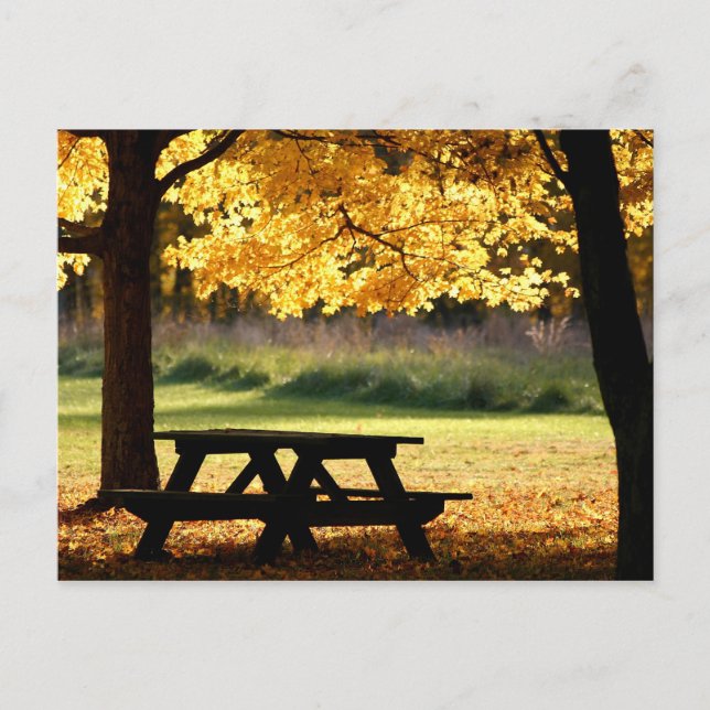 Carte Postale Pique-nique d'automne (Devant)