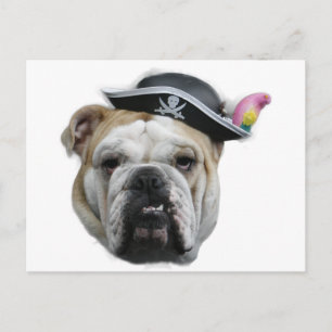 Carte Postale Pirate Bulldog