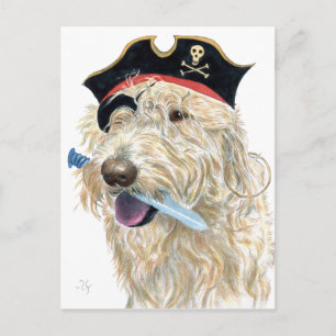 Carte Postale Pirate Cream Labradoodle