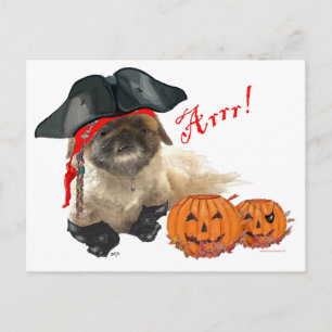 Carte Postale Pirate Doggie