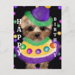 CARTE POSTALE PISCINE DE MINI YORKIE
