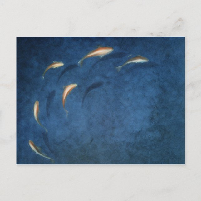 Carte Postale Piscine de poisson rouge (Devant)
