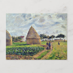 CARTE POSTALE PISSARRO - HISTOCQUES ET PATCH DE CABBAGE,