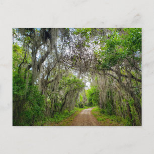 Carte Postale Piste de boucle du lac Apopka, Floride