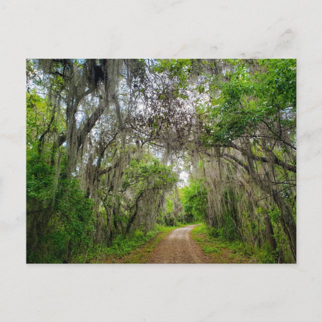 Carte Postale Piste de boucle du lac Apopka, Floride (Devant)