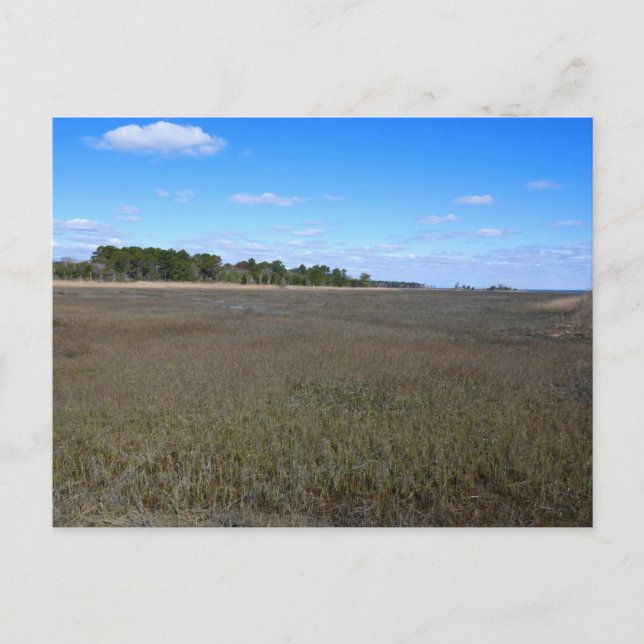 Carte Postale Piste de la réserve naturelle de Burton Island (Devant)