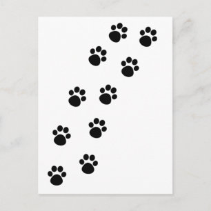 Carte Postale Piste de pattes de chat