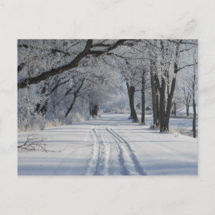 Carte Postale Piste de randonnée d'hiver