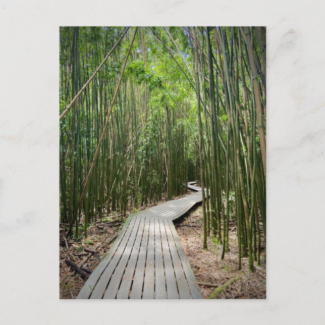 Carte Postale Piste Pipiwai, Parc national Haleakala, Maui (Devant)