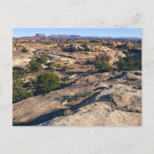 Carte Postale Piste Pothotel Point au parc national des Canyonla