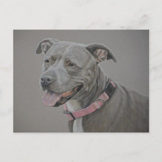 Carte postale Pit Bull Dog Art