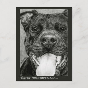 Carte Postale Pit Bull - "Happy Guy"