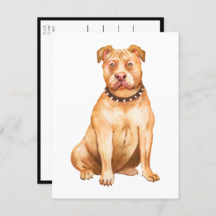 Carte Postale Pit Bull Pittie Puppy Chien Mlle You Love Pitbull