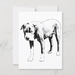 Carte Postale Pit Bull Post, Snow Day Hello