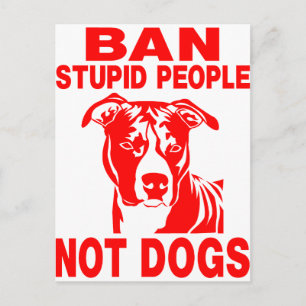 CARTE POSTALE PITBULL