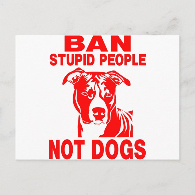 CARTE POSTALE PITBULL (Devant)