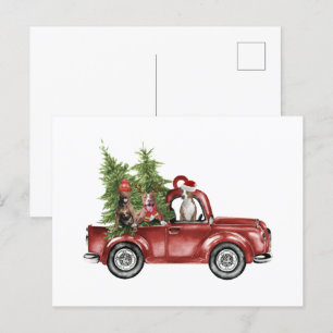 Carte Postale Pitbull en voiture Noël Ornement Drôle Noël Cadeau