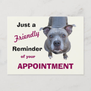 Carte postale Pitbull pour rappel de rendez-vous v