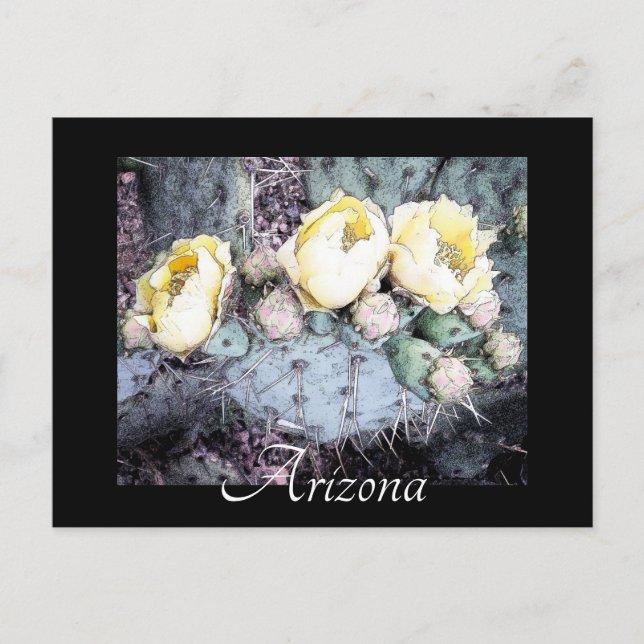 Carte postale pittoresque Arizona Cactus Flower Di (Devant)