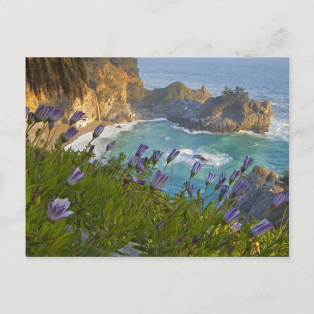Carte Postale Pittoresque McWay Falls tombent sur la plage. (Devant)